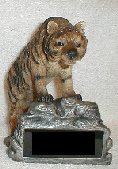 6 inch tall Tiger school team mascot statue